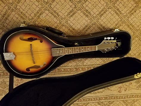 rogue mandolin|rogue mandolin with case.